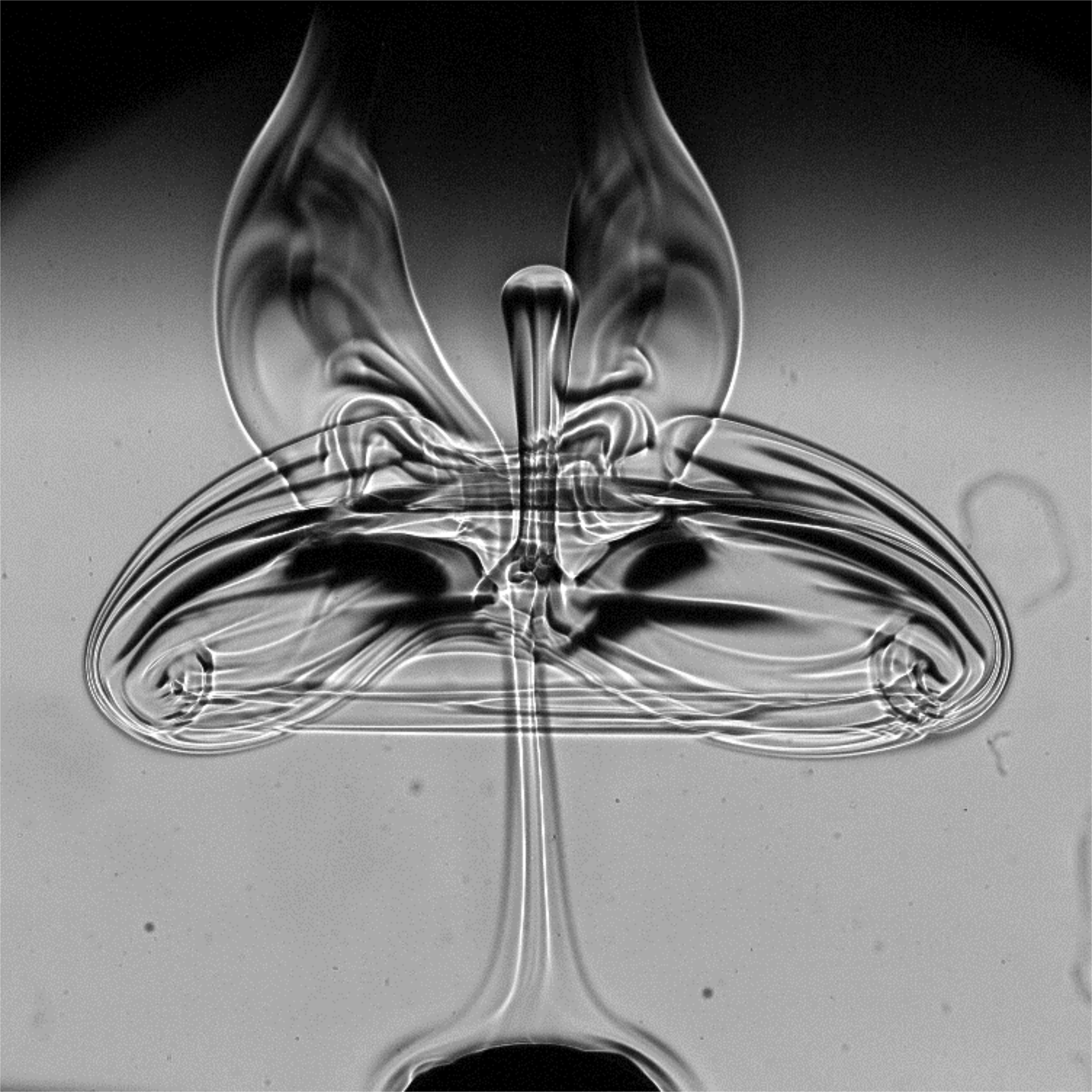 image4